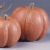 Fall Pumpkin Decoration