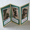 Fast Folded Card