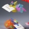 message bird
