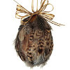 Feathered Egg Project