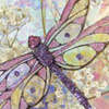 film dragonfly