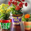 Poetic Flower Pots