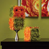 Cube of Gerbera Daisies