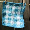Aunt Bees Gingham Dishcloth