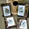 Golden Songbirds Artist Trading Cards