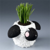 hair raising lamb