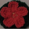 Hearty Geranium Flower