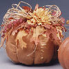 harvest pumpkin