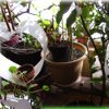 Heart Flower Pot Hanger
