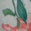 Napkin Applique Floral Frame Video