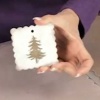 Holly Holiday Card Video