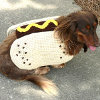 Hot Dog Crochet Coat