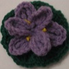 Iris Flower