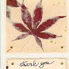 Japanese Maple Card
