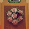 Lady Bug Tea Gift Bag