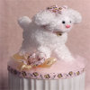 Babys Little Lamb