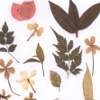 Quick Tip Fast Drying Leaves