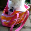 Legally Adorable dog tote