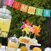 Summer Lemonade Party