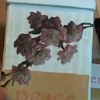 Decoupage on Mache Signs Video