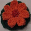 Narrow Leaf Zinnia Flower