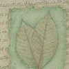 Nature Photo Album