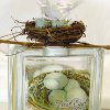Neat Nest Egg Bank