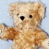 New Bear Looks Old