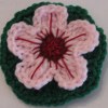 Petunia Flower
