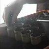 Organic Seedling Planters