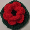 Poppy Flower