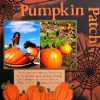 Pumpkin Patch Scrapbook Page