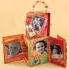 Princess Diaries Album  Purse