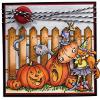 Kitty in the Pumpkin Patch