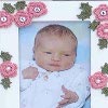 Rose Picture Frame