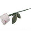 Heartfelt Collection Handmade Paper Rose