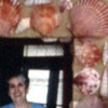Seashell Frame