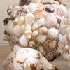 Seashell Spheres