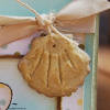 Seashell Charm