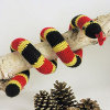 Colorful Coral Snake
