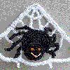 Crochet Spider and Web