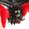 Six Legged Gum Ball Spider