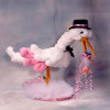 Baby Stork on its Way
