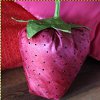 Strawberry Pillow