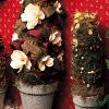 Tannenbaum Christmas Topiaries