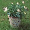 25 clay pot crafts