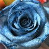Tie Dye Roses