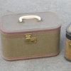 Dressed Up Train Case
