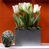 Tulip Moss Planter