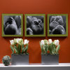 Black and White Tulip Wall Art
